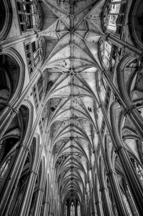 Nervaduras Góticas en blanco y negro