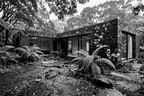 Casa de Lava y Helechos en blanco y negro