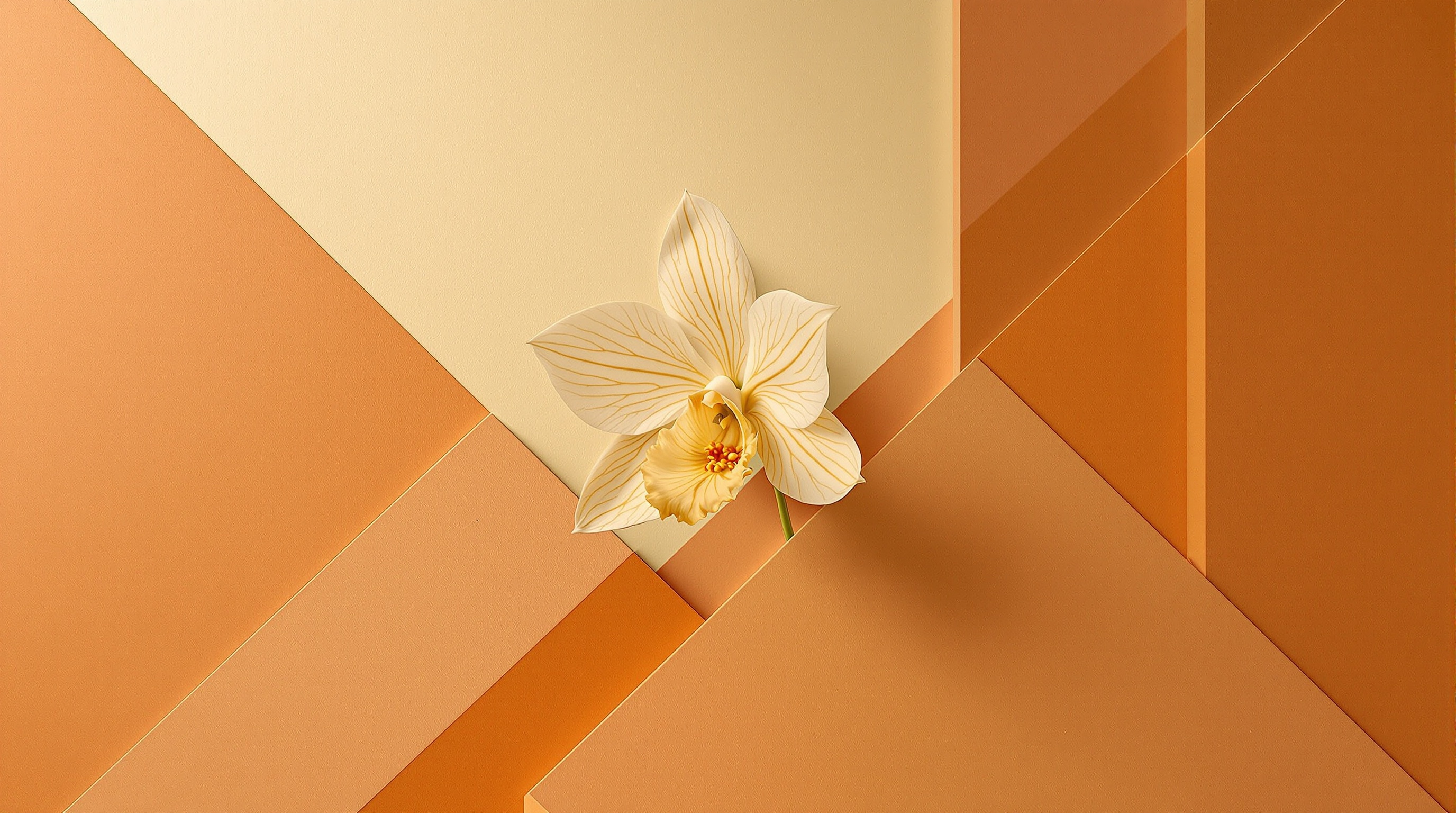 Orquídea Constructivista en Terracota