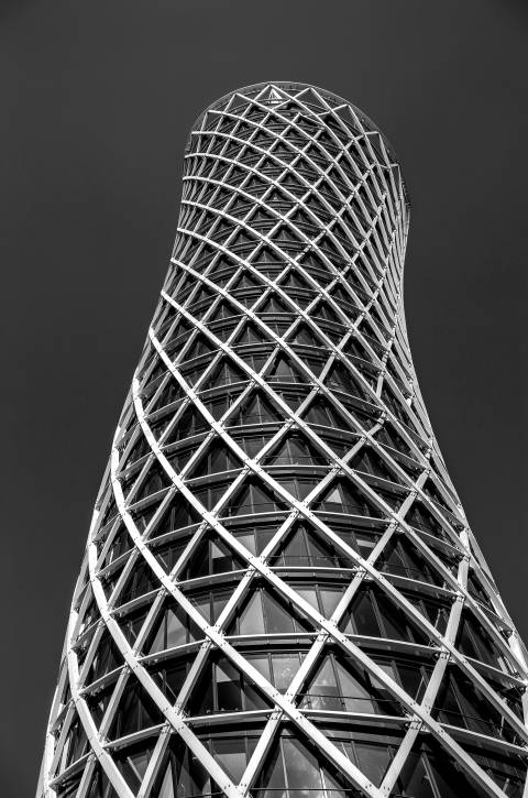 Retícula que se Tuerce en blanco y negro
