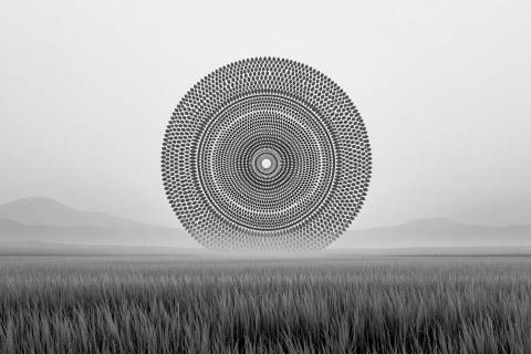 Espiral Solar · Geometría Botánica en blanco y negro