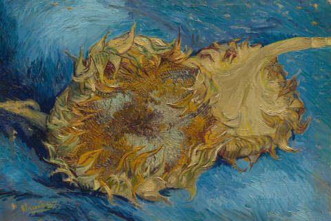 Girasoles cortados, Vincent van Gogh