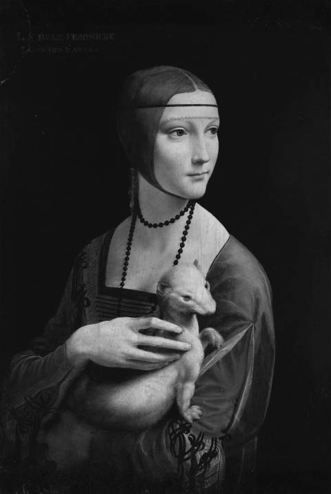 La dama del armiño, Leonardo da Vinci en blanco y negro
