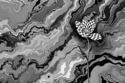 Fritilaria Ágata Imperial en blanco y negro