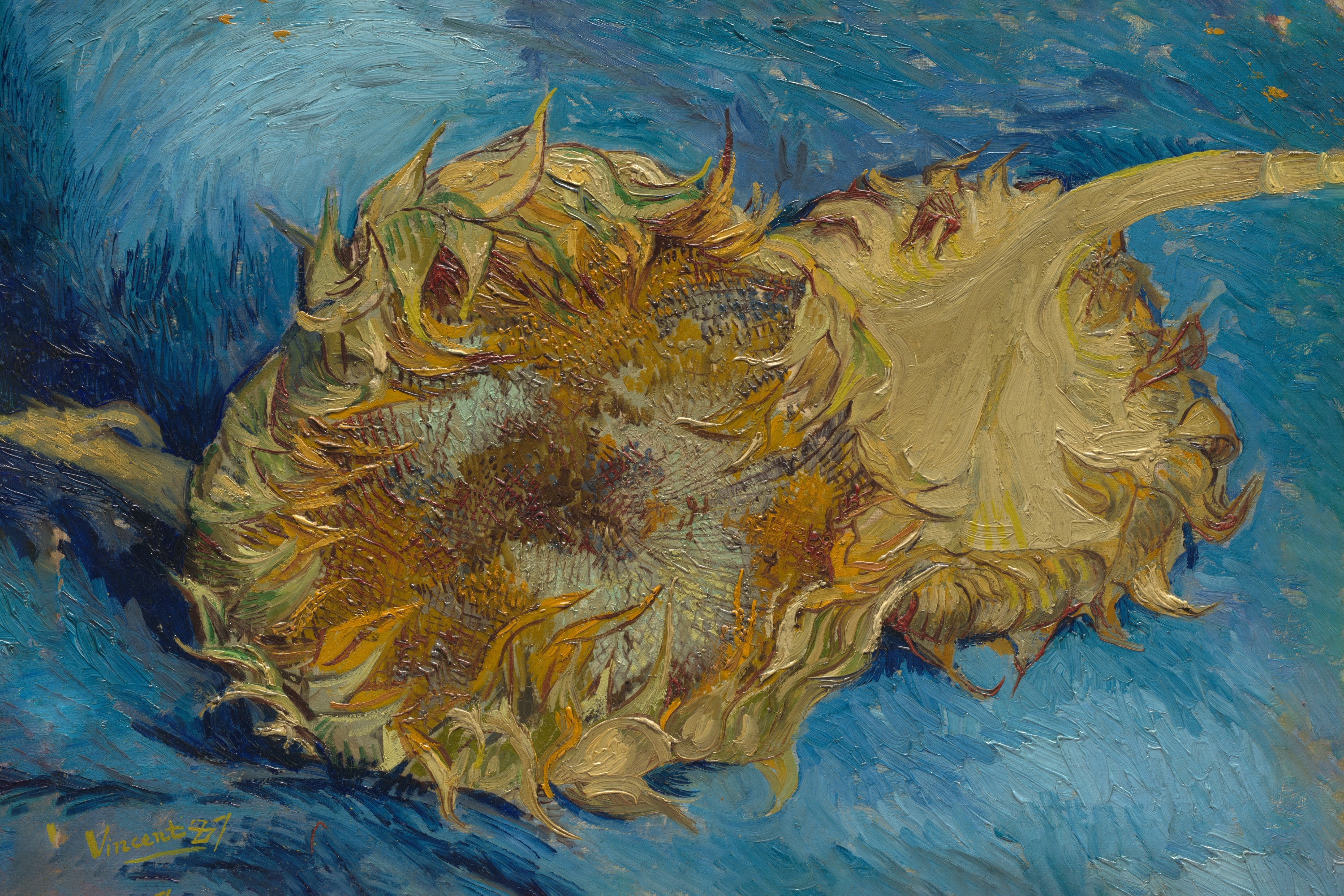 Girasoles cortados, Vincent van Gogh