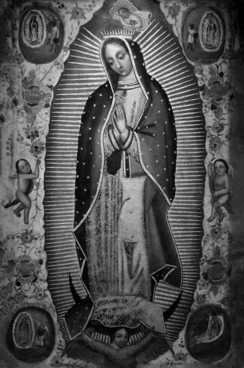 Virgen de Guadalupe entre flores, pintura novohispana en blanco y negro