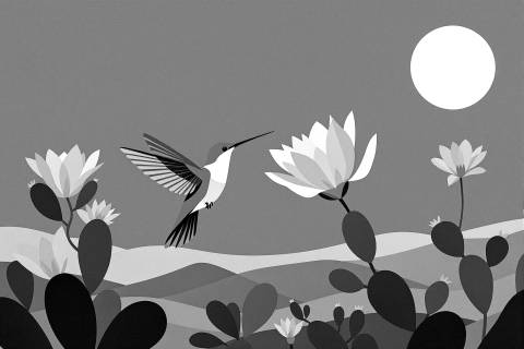 Colibrí Nocturno · Néctar de Luna en blanco y negro