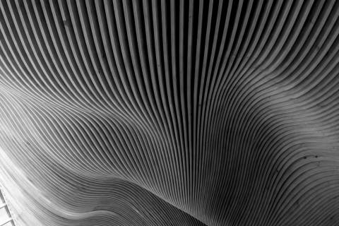 Ola de Madera en blanco y negro