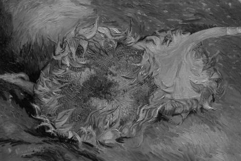 Girasoles cortados, Vincent van Gogh en blanco y negro