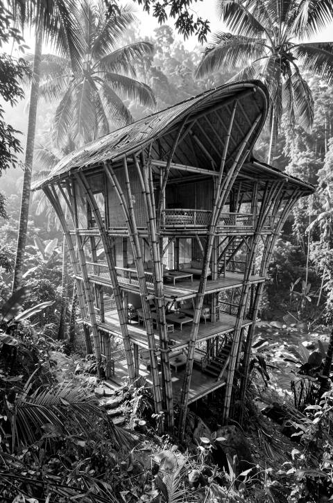 Casa de Bambú en blanco y negro