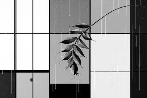 Heliconia Neoplástica bajo la Lluvia en blanco y negro