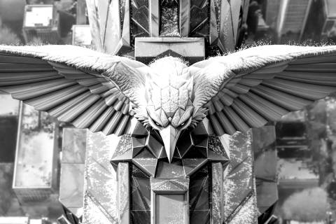 Guardián de Escarcha al Amanecer en blanco y negro
