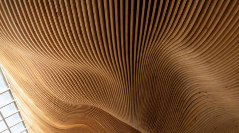 Ola de Madera