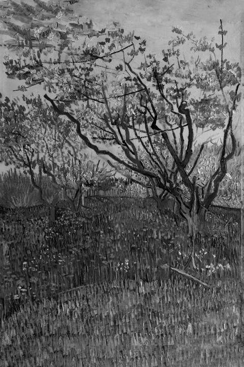 El huerto en flor, Vincent van Gogh en blanco y negro