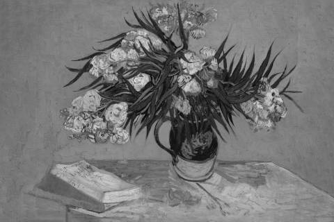 Adelfas, Vincent van Gogh en blanco y negro