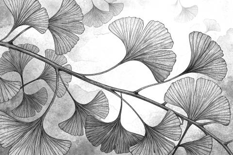 Ginkgo Sepia: Memoria de Otoño en blanco y negro