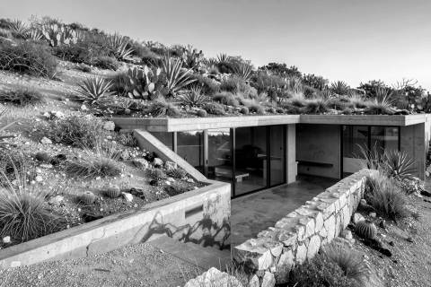 Techo de Cactus en blanco y negro