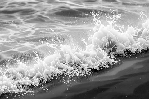 Confluencia de Espuma en blanco y negro