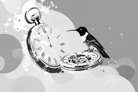 Colibrí del Tiempo Detenido en blanco y negro