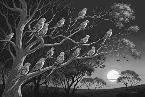Bandada Dorada al Ocaso en blanco y negro