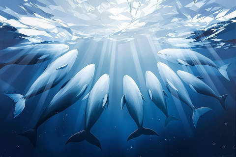 Círculo Glacial de Belugas