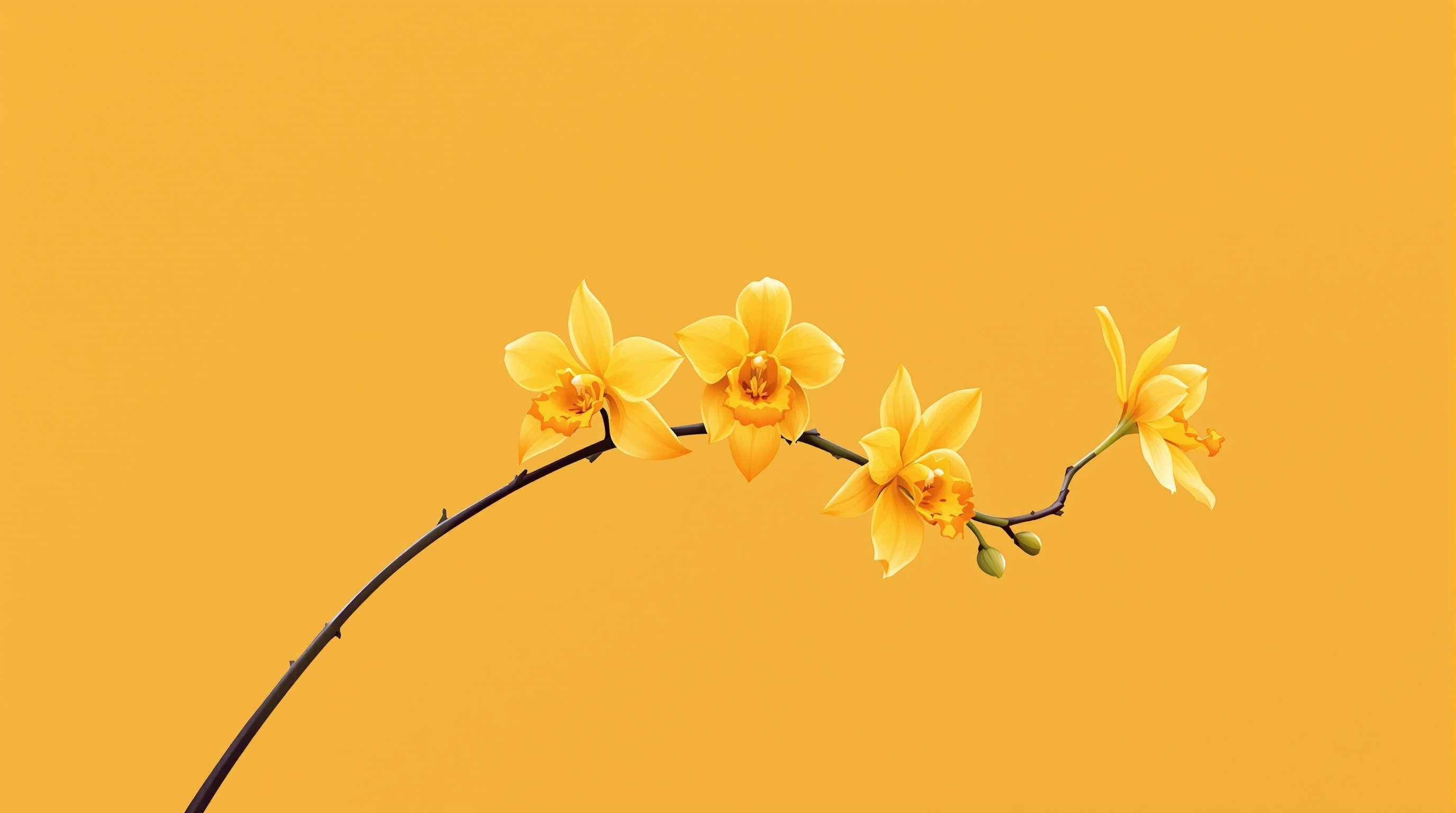 Danza Dorada de Oncidium