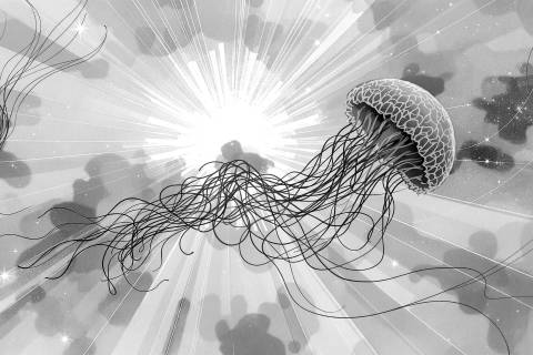 Medusa en Trance Radial en blanco y negro