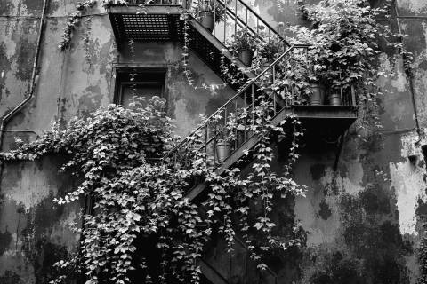 Jardín Suspendido del Lower East Side en blanco y negro