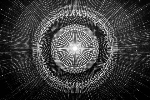 Erizo de Perla — Fractura Sepia en blanco y negro