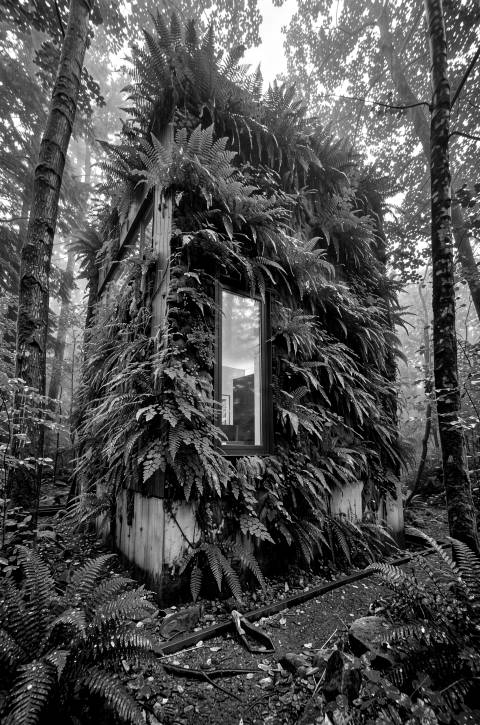 Fachada Viva en blanco y negro