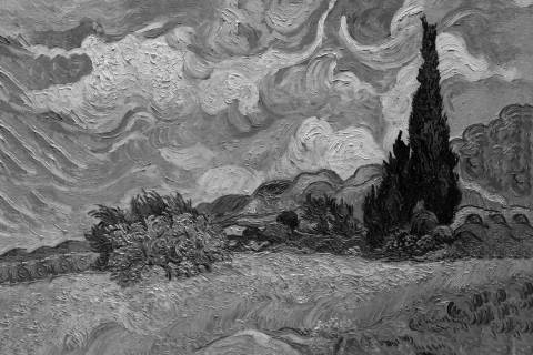 Campo de trigo con cipreses, Vincent van Gogh en blanco y negro