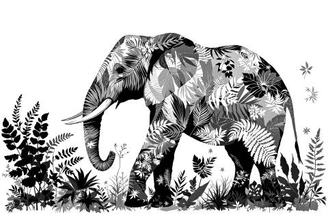 Elefante Botánico en Cianotipo Terracota en blanco y negro