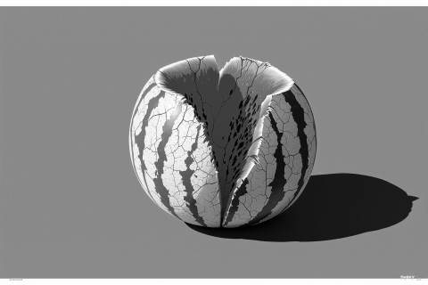 Corazón Sandía: Venas del Verano en blanco y negro