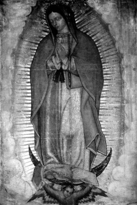 Nuestra Señora de Guadalupe, la imagen del Tepeyac en blanco y negro