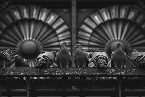 Dualidad en la Escalera de Hierro en blanco y negro
