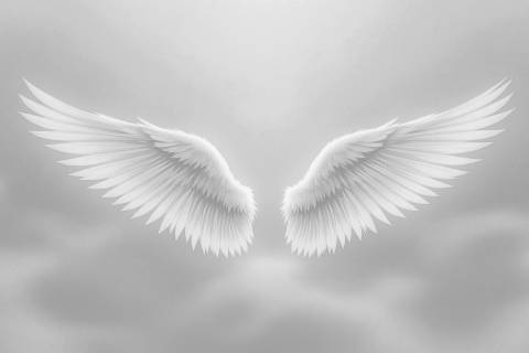 Alas Etéreas al Amanecer en blanco y negro