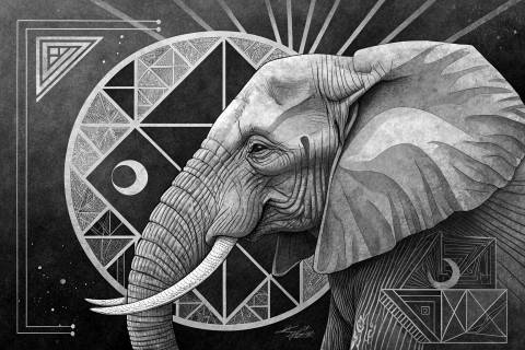 El Guardián Dorado — Suprematismo Elefante en blanco y negro