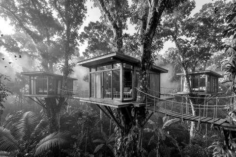 Cabañas en el Dosel en blanco y negro