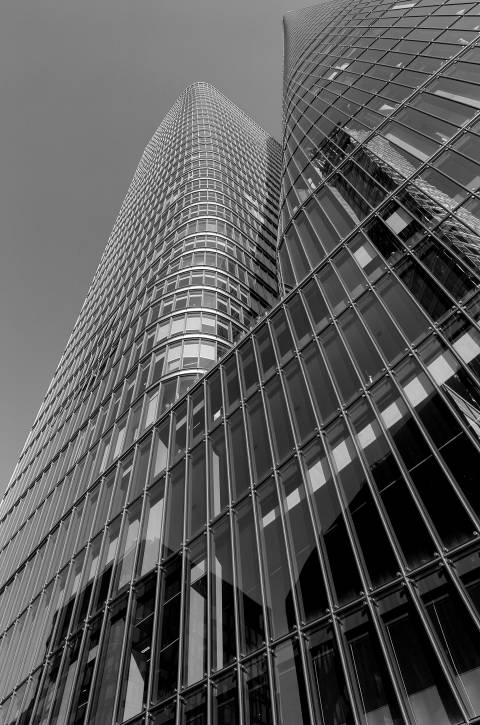 Reflejo Invertido en blanco y negro