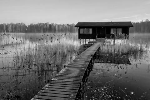 Casa entre Juncos en blanco y negro
